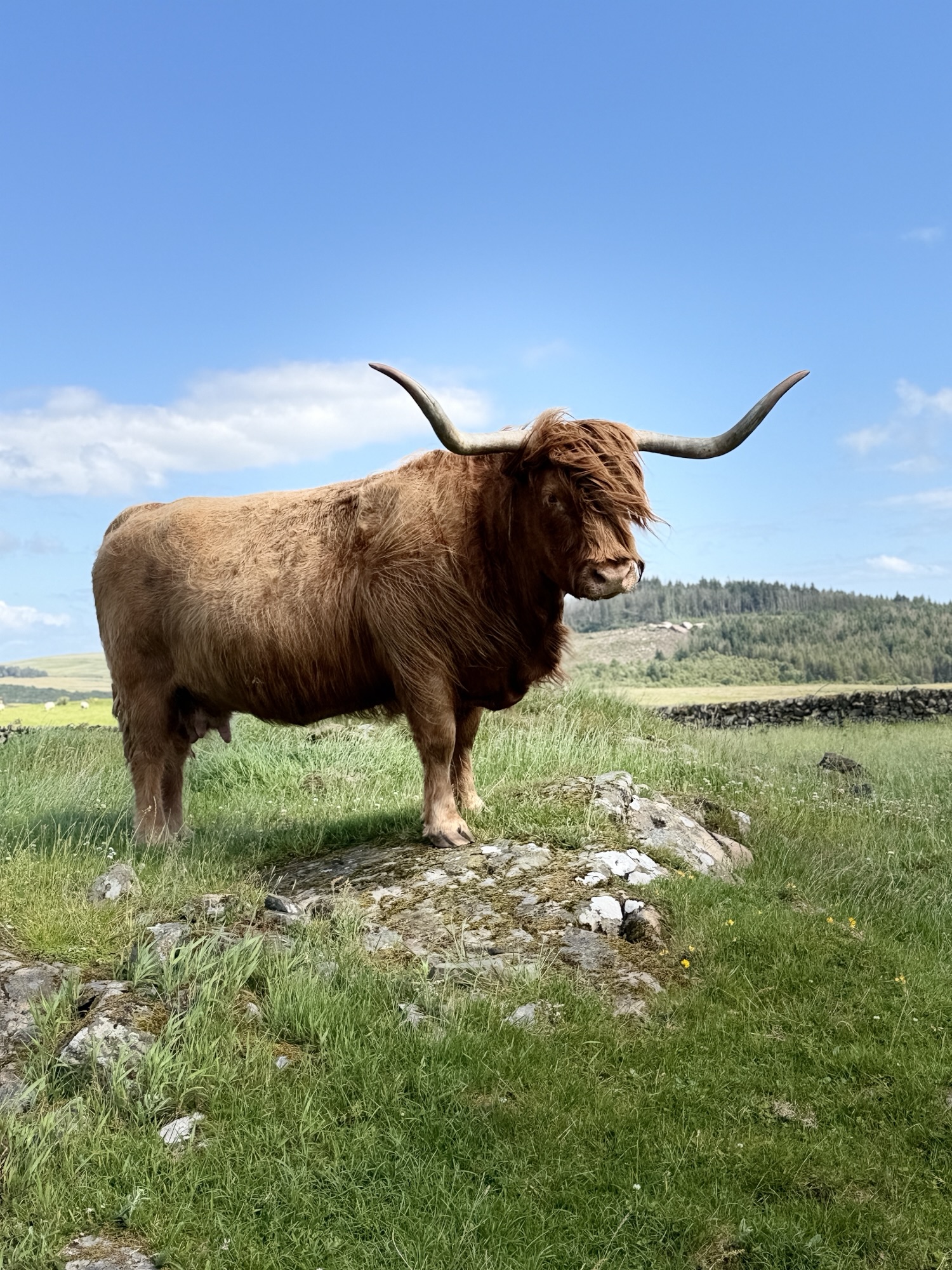 A Highland Fairytale: Inside Our Luxury Scotland Escape